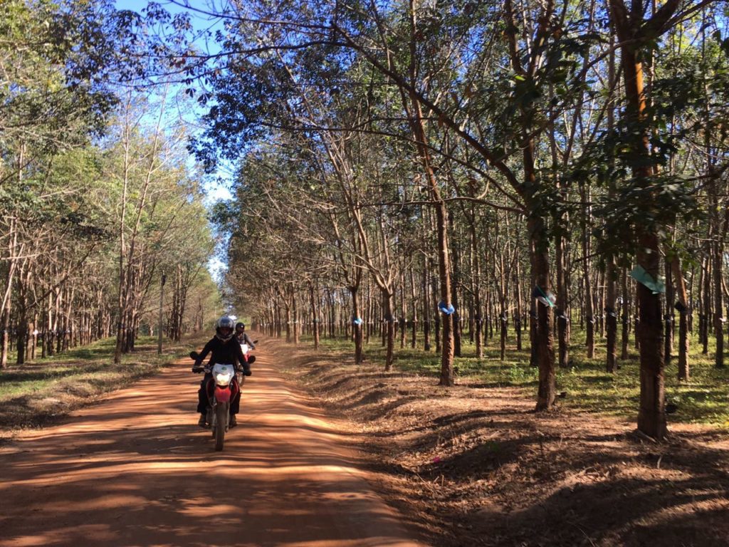 Hoi An Motorbike Tour to Saigon via Pleiku Dalat Kon Tum 2 1024x768 - Top 6 Essential Travel Tips for Your Dalat Motorbike Tour