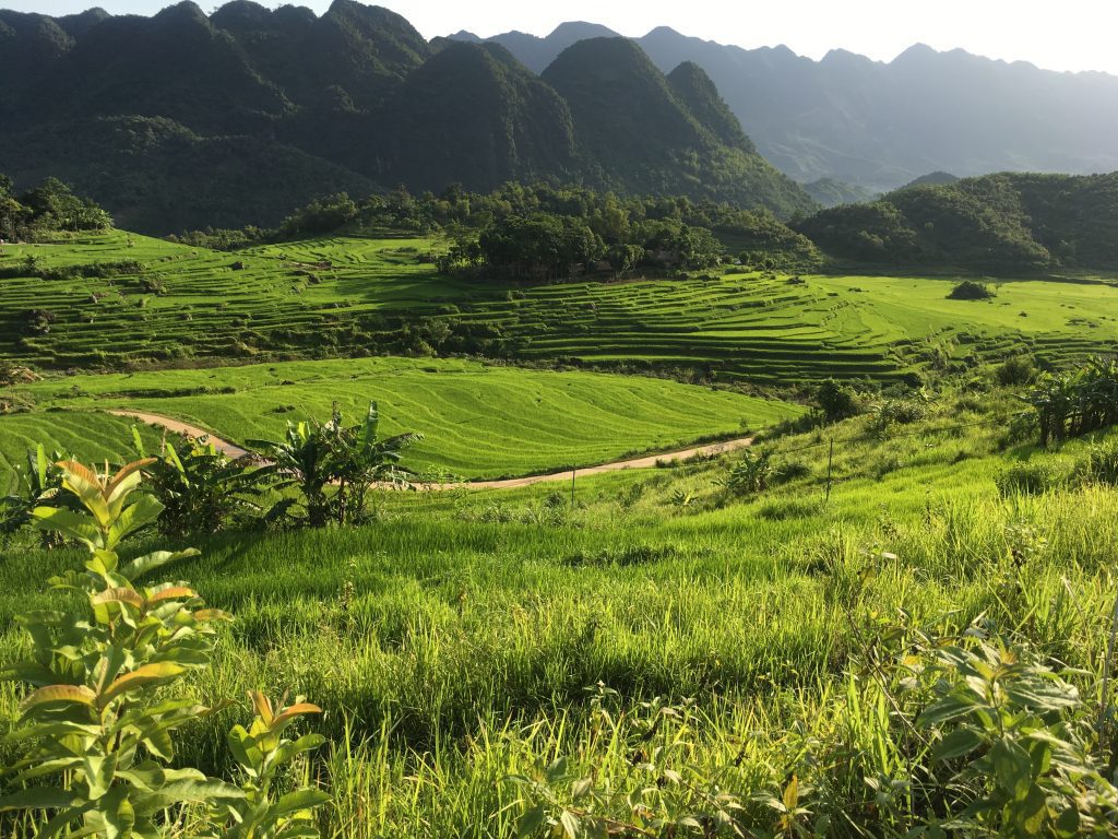 Witness the beauty of Pu Luong Nature Reserve