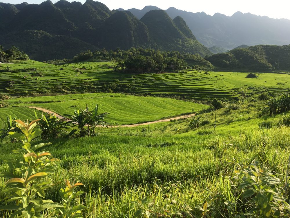 7-day-vietnam-offroad-motorbike-tour-ta-xua-ho-chi-minh-trail-hue-hoi-an