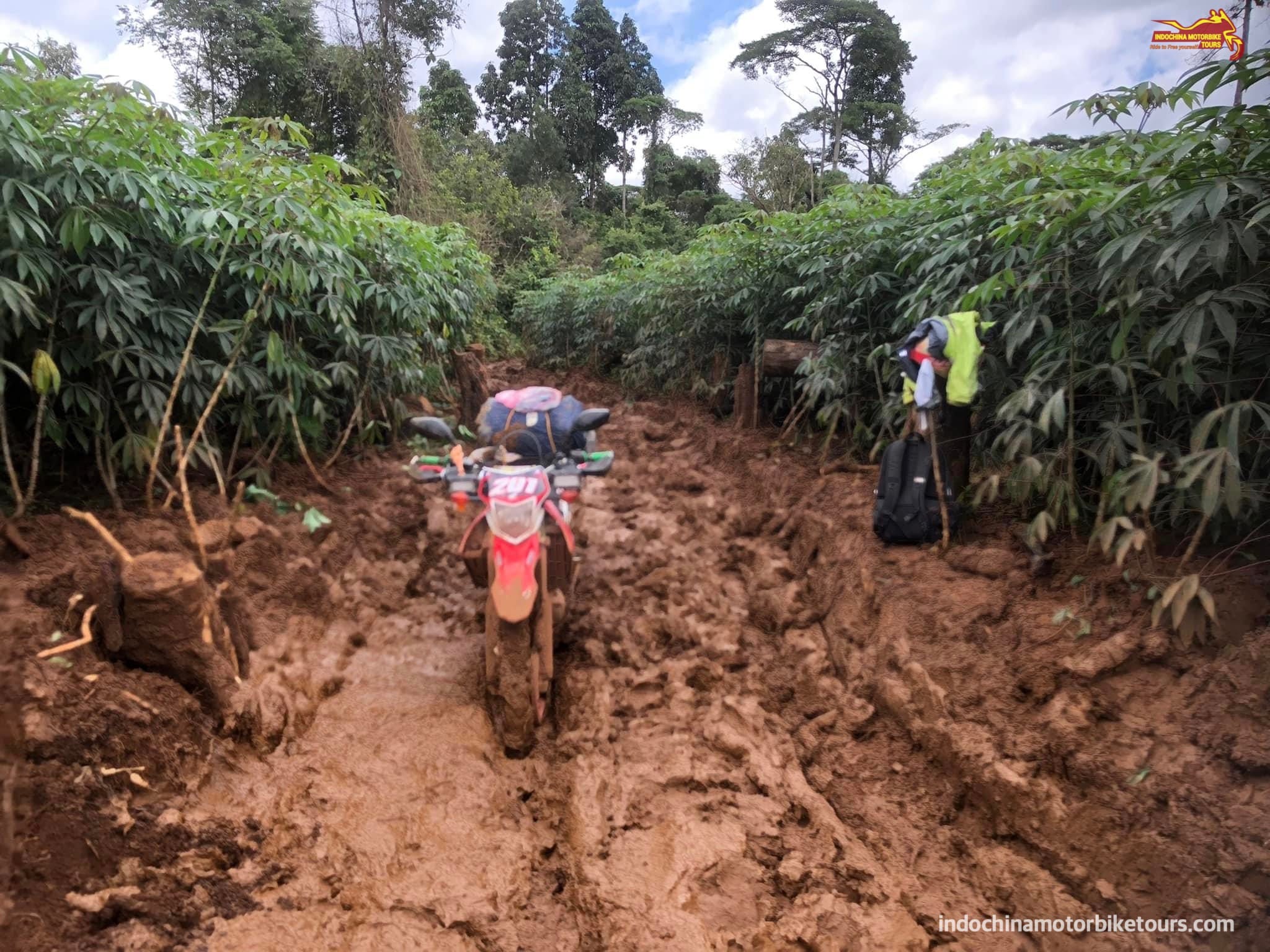 Adventurous Laos Motorcycle Tour of Exploring Mystical Mountains from Luang Prabang to Vang Vieng