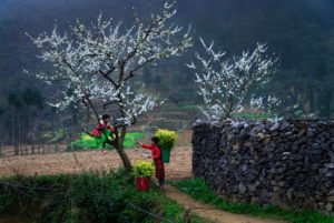 when is the best weather to join a motorbike tour in Ha Giang
