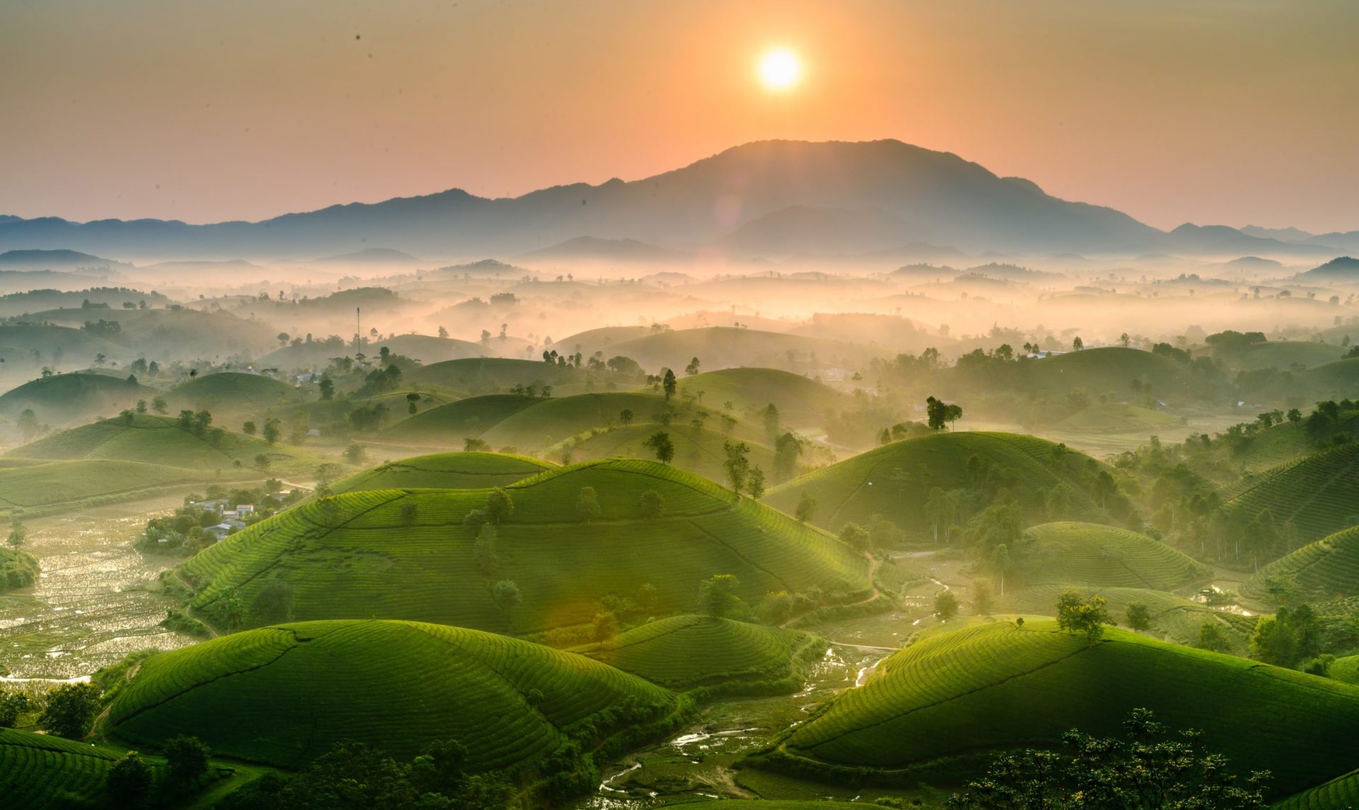 Chill-Out Hanoi Motorbike Tour To Long Coc Tea Plantation, Da Bac, Pu Luong