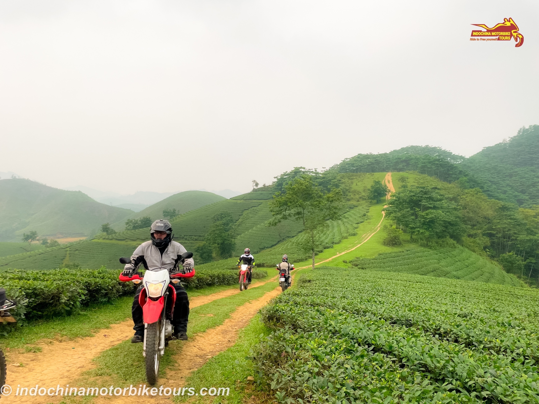 Vietnam Motorbike Tour from Hanoi to Da Bac via Long Coc Tea Plantation