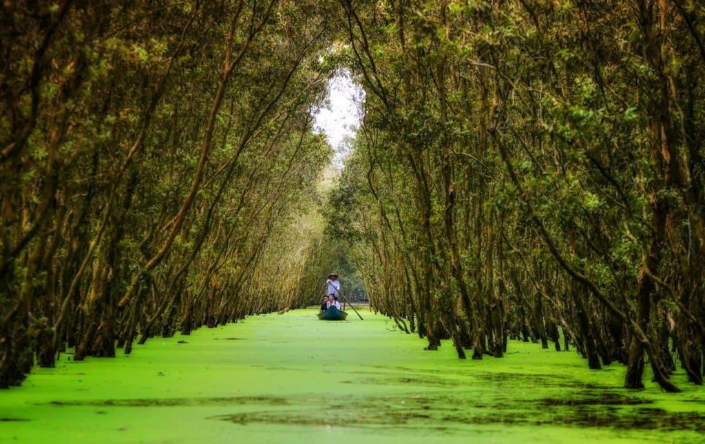 Best Time To Ride Motorbike To Mekong Delta Of Vietnam?