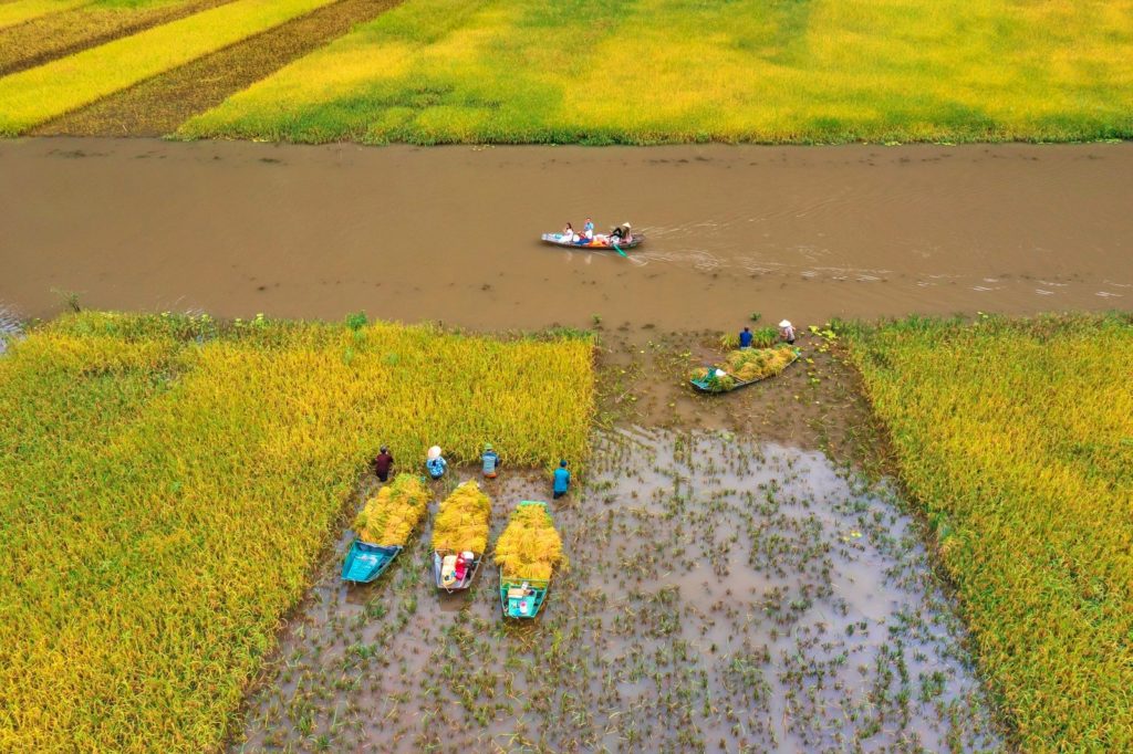 Top 6 Reasons to do a loop motorbike tour from Hanoi to Halong Bay then Ninh Binh