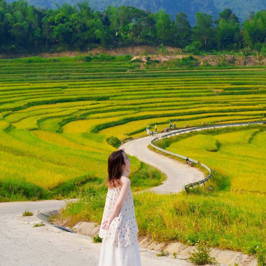 352083019 270154565425001 9005495795374703365 n 1024x1024 - Top 10 Best Travel Experiences in North Vietnam