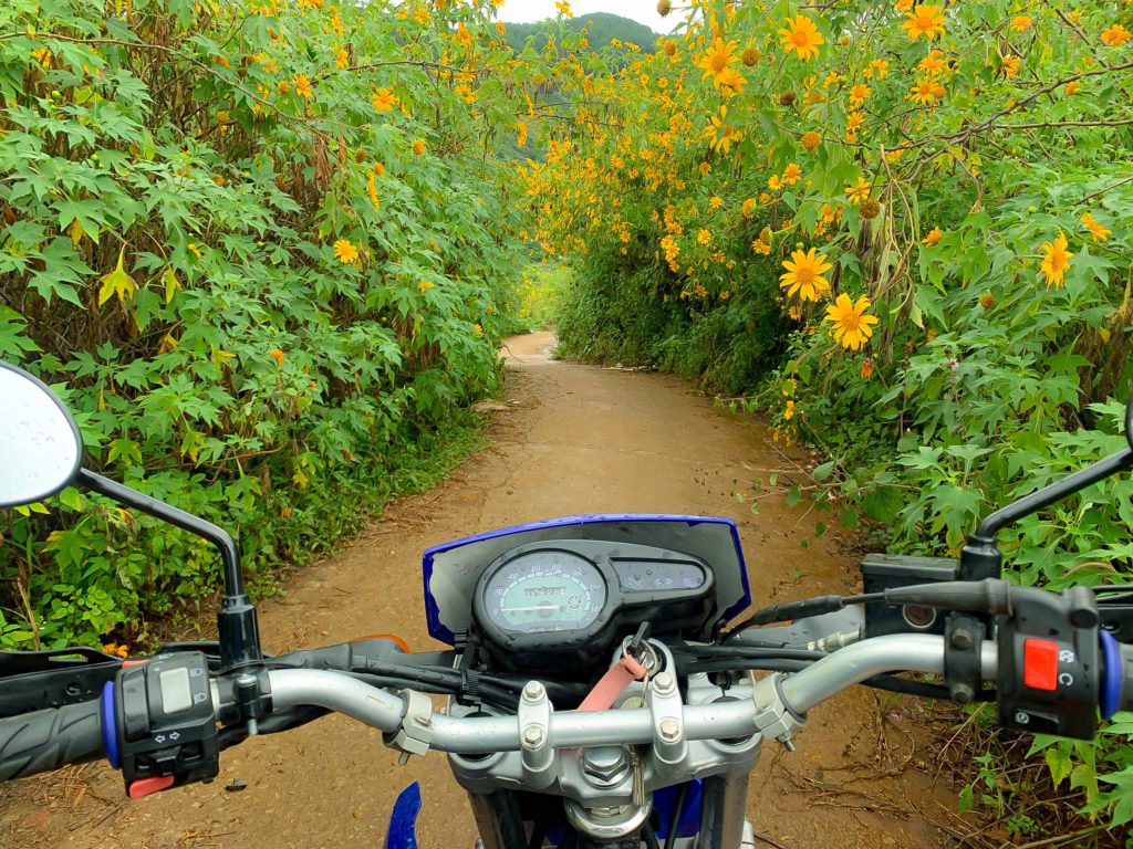 Dalat Motorbike Tours 15 1024x768 - The Best Time to Ride Motorcycles from Da Lat to Nha Trang and Mui Ne