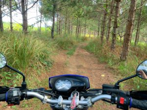 Why Riding a Motorbike from Ho Chi Minh City to Da Lat via Nam Cat Tien National Park and Bao Loc?