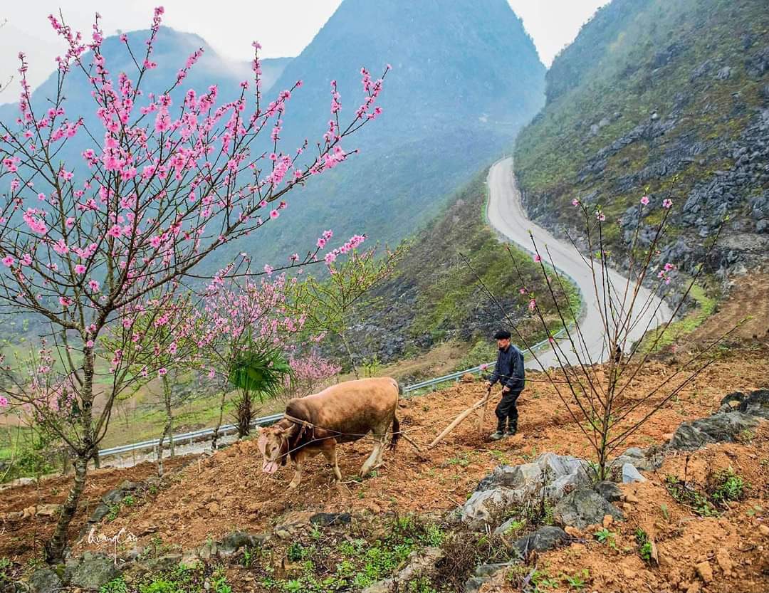 Why Should We Ride Motorbikes to Du Gia in Ha Giang?