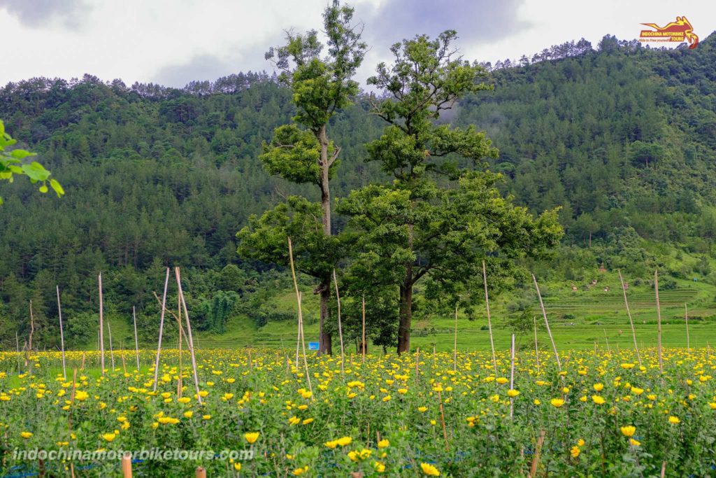 Where to Stay in Ngoc Chien, Muong La District, Son La Province?
