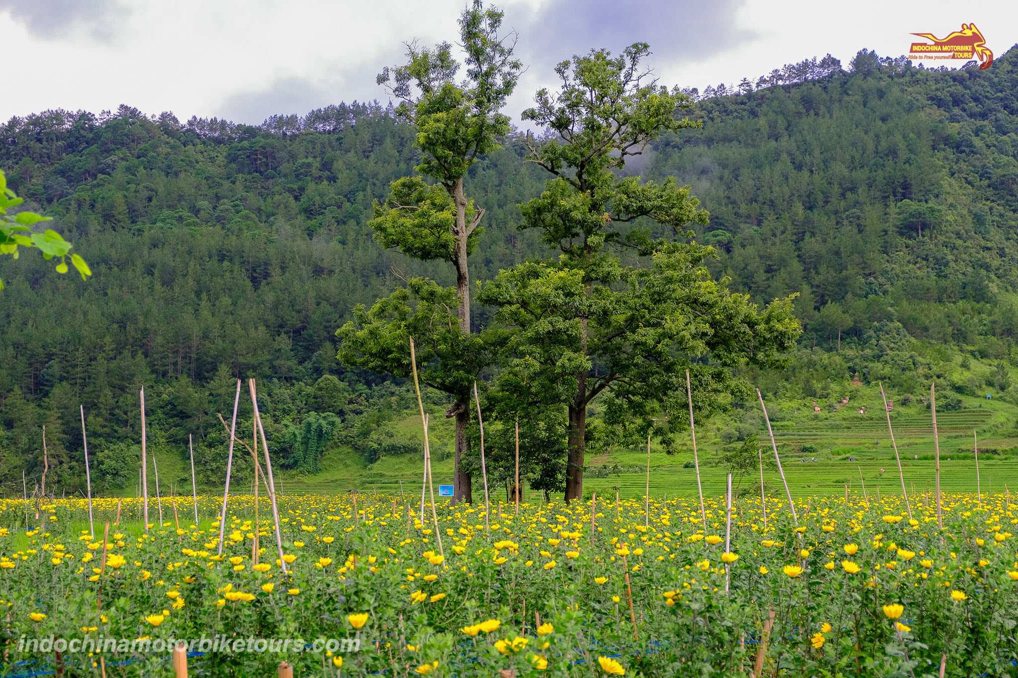 Where to Stay in Ngoc Chien, Muong La District, Son La Province?