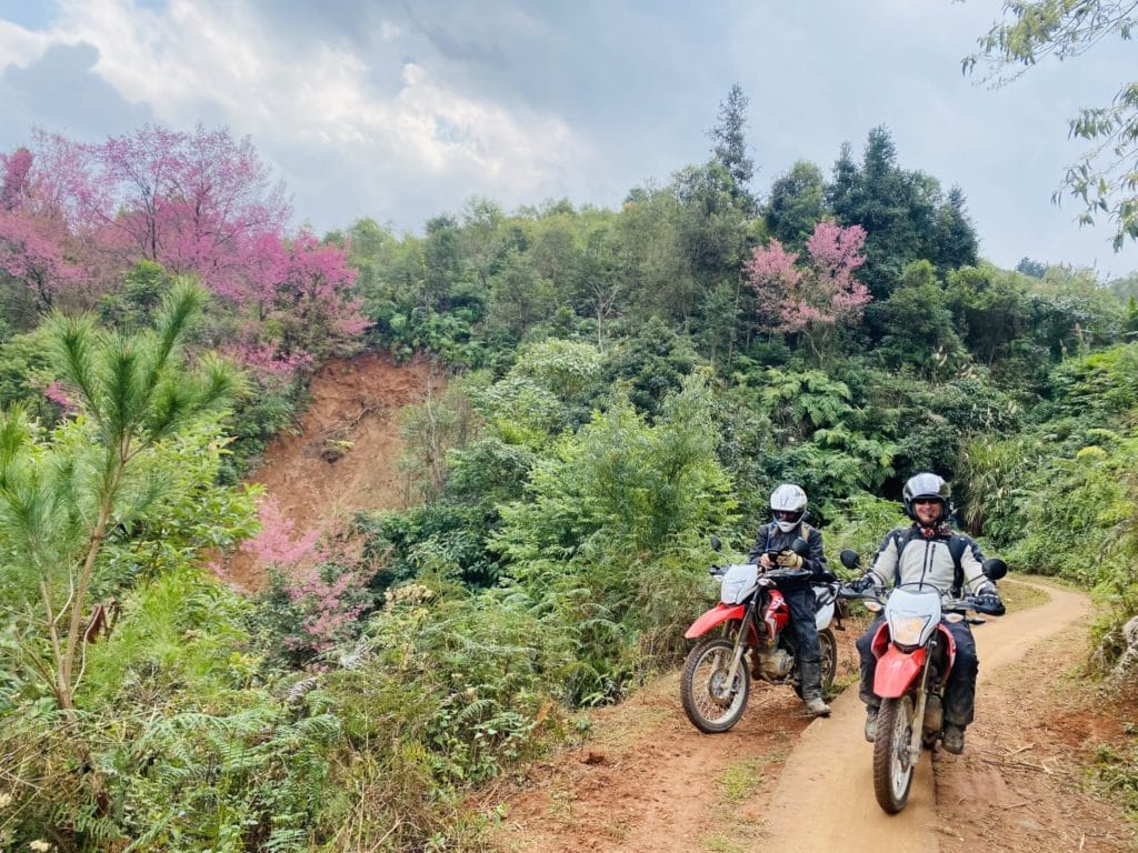 emcompasing-north-vietnam-motorbike-tour-from-west-to-east-14-days