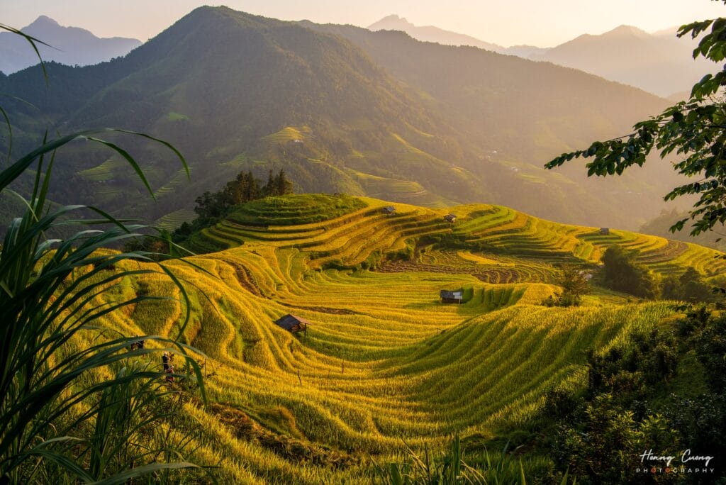 What’s the best time of year for a motorbike tour in Vietnam?