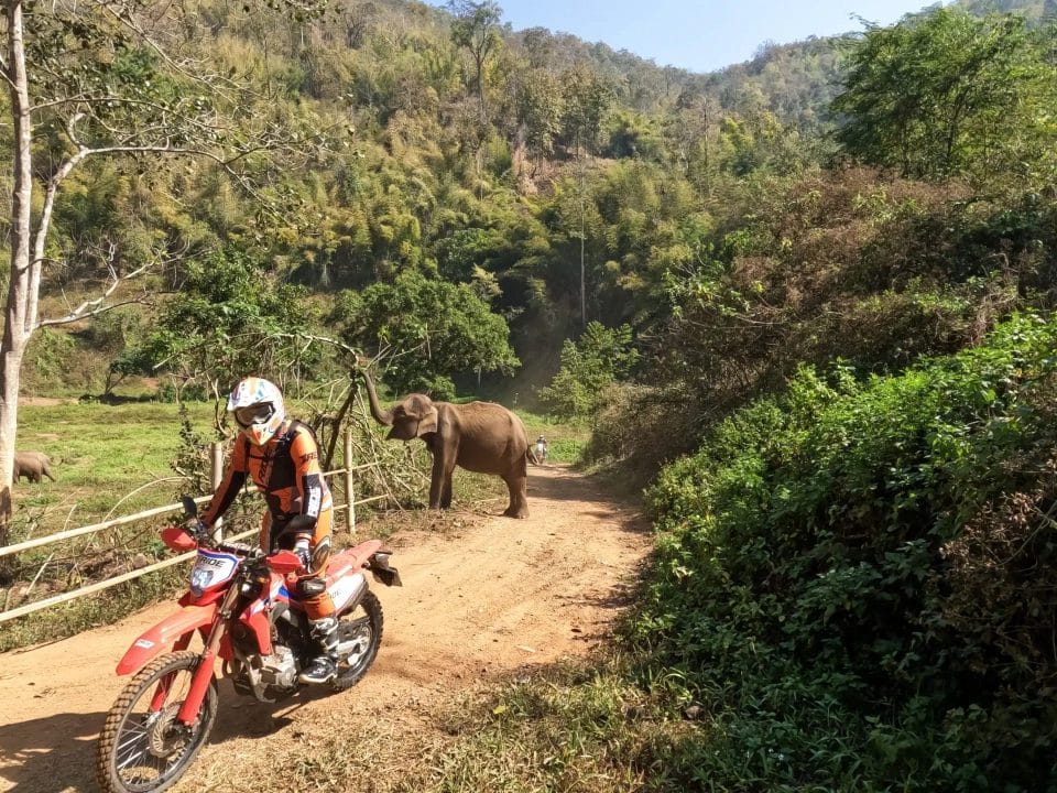 full-day-enduro-experience-in-chiang-mai