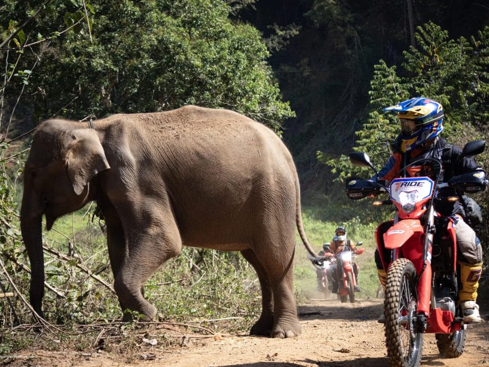 2-day-enduro-tour-in-chiang-mai