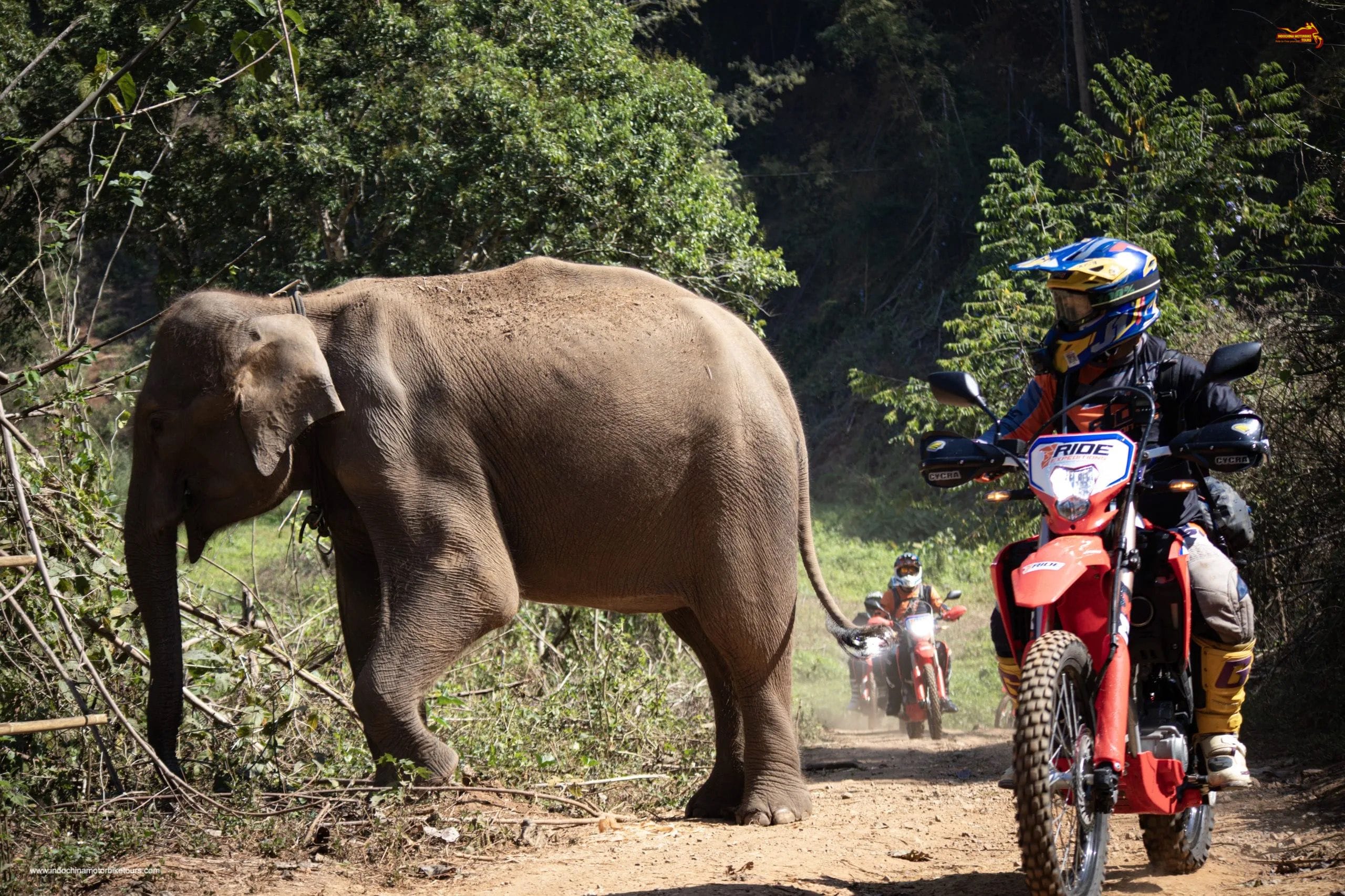 Thailand Adventure Motorcycle Tour from Chiang Mai to Chiang Dao